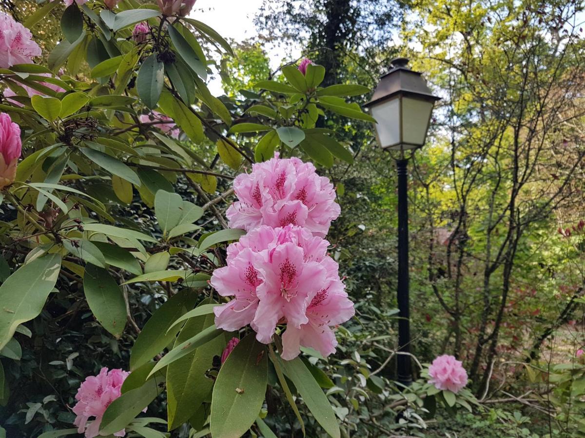 Chateau De La Rose Cluis Bagian luar foto